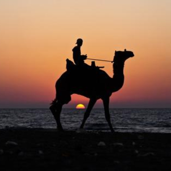 Meet your Posher, Joe - Picture 4 of 8